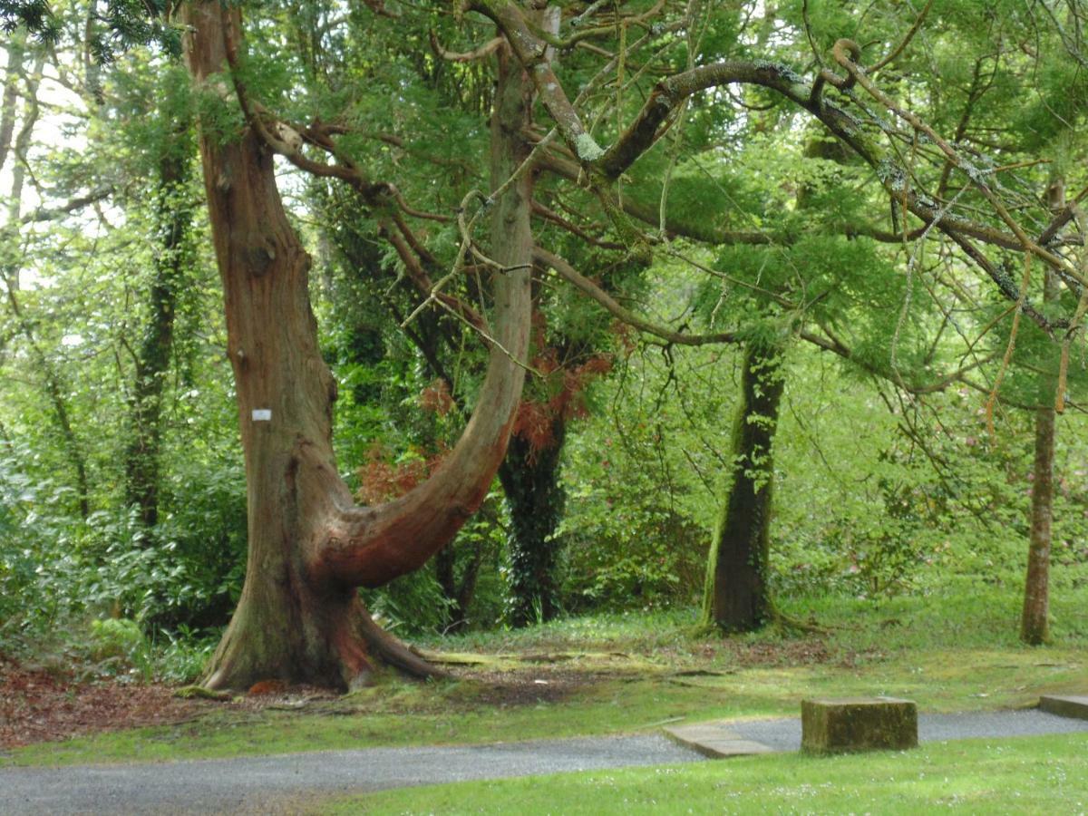 Lough Rynn Rental Mohill Buitenkant foto